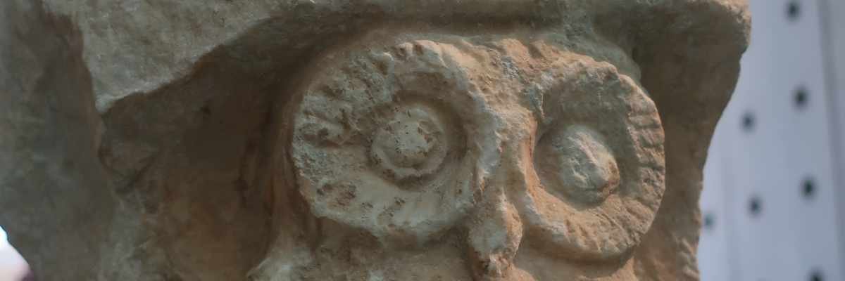 To helmet or not to helmet?