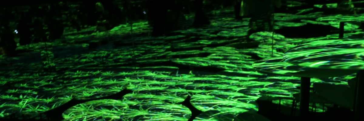 Personal Favorites of CES 2019